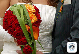 Versteckte Details mit Viesus